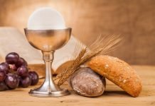 Comentário Dominical- XXIV Domingo do Tempo Comum