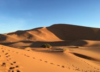 Conduzido pelo Espírito ao deserto para vencer o tentador