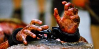 Série: Quem é o homem do Sudário? Cap. 3: Por que o sofrimento dos inocentes?