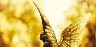 Os nossos grandes companheiros: Os anjos!