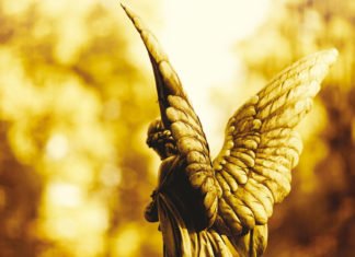 Os nossos grandes companheiros: Os anjos!