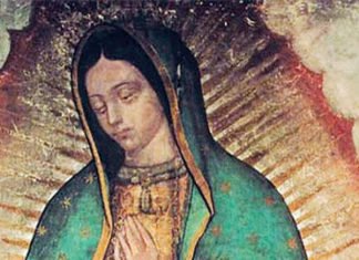 Nossa Senhora de Guadalupe: Conheça mais sobre esta devoção