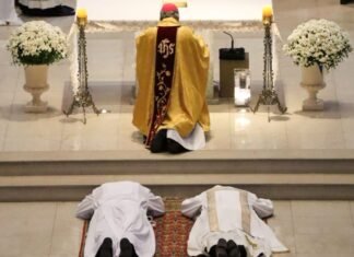 Ordenação Sacerdotal e Diaconal em Curitiba
